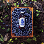 Blueberry-classic-nature