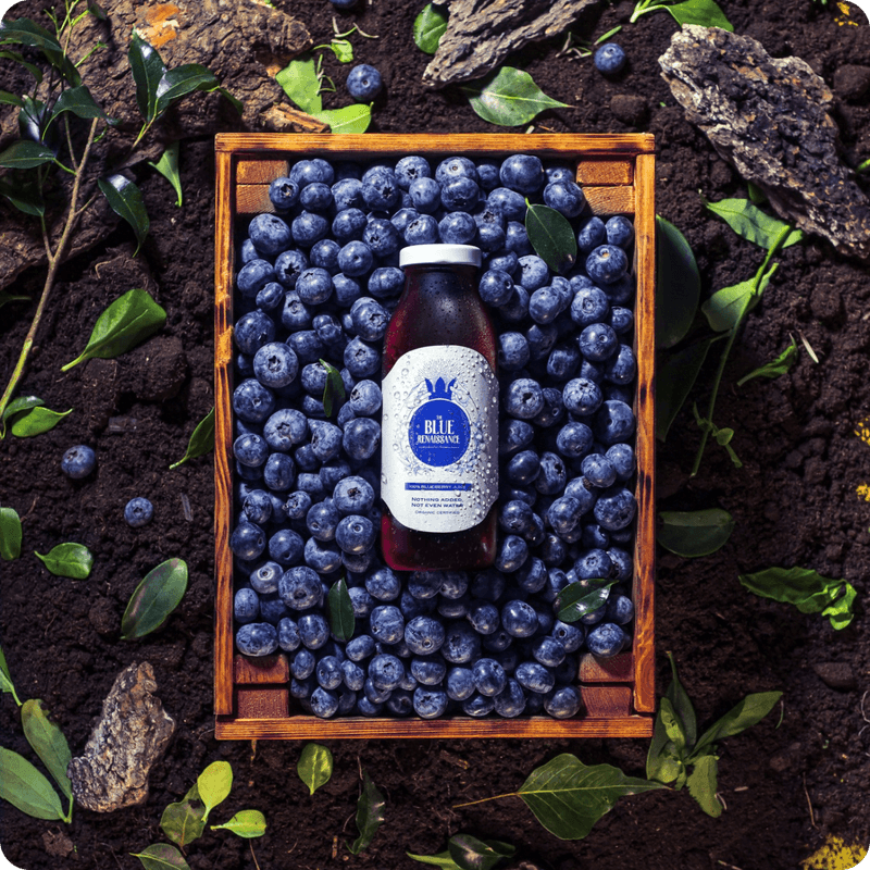 Blueberry-classic-nature