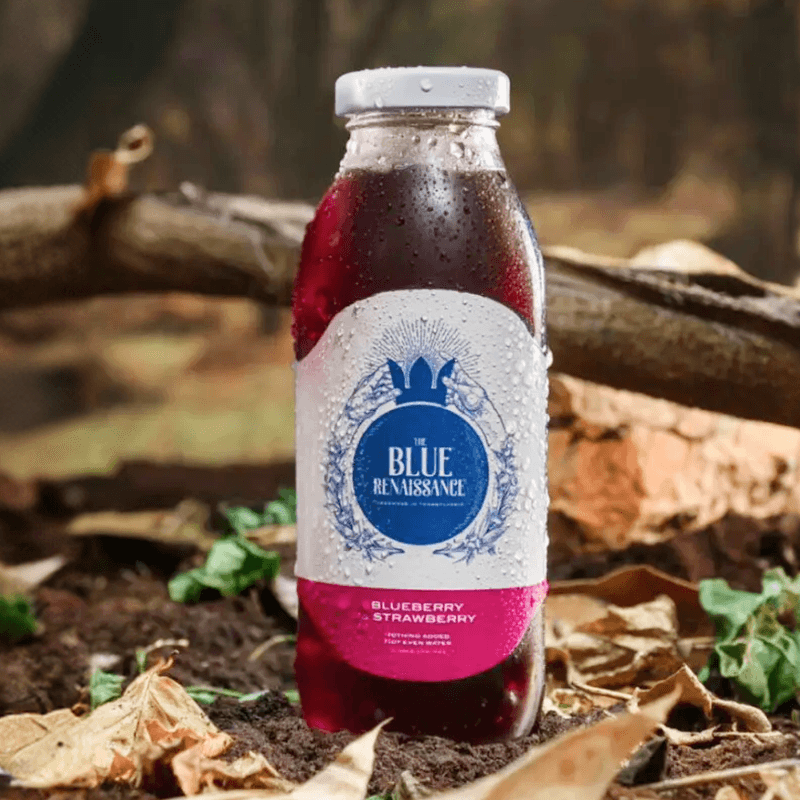 Blueberry-x-Strawberry