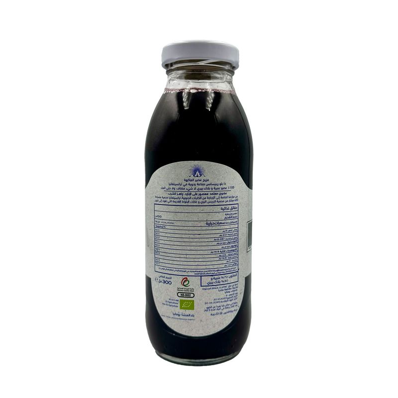 Blueberry-x-Blackberry-Back